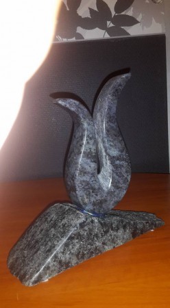 trávička...  žula